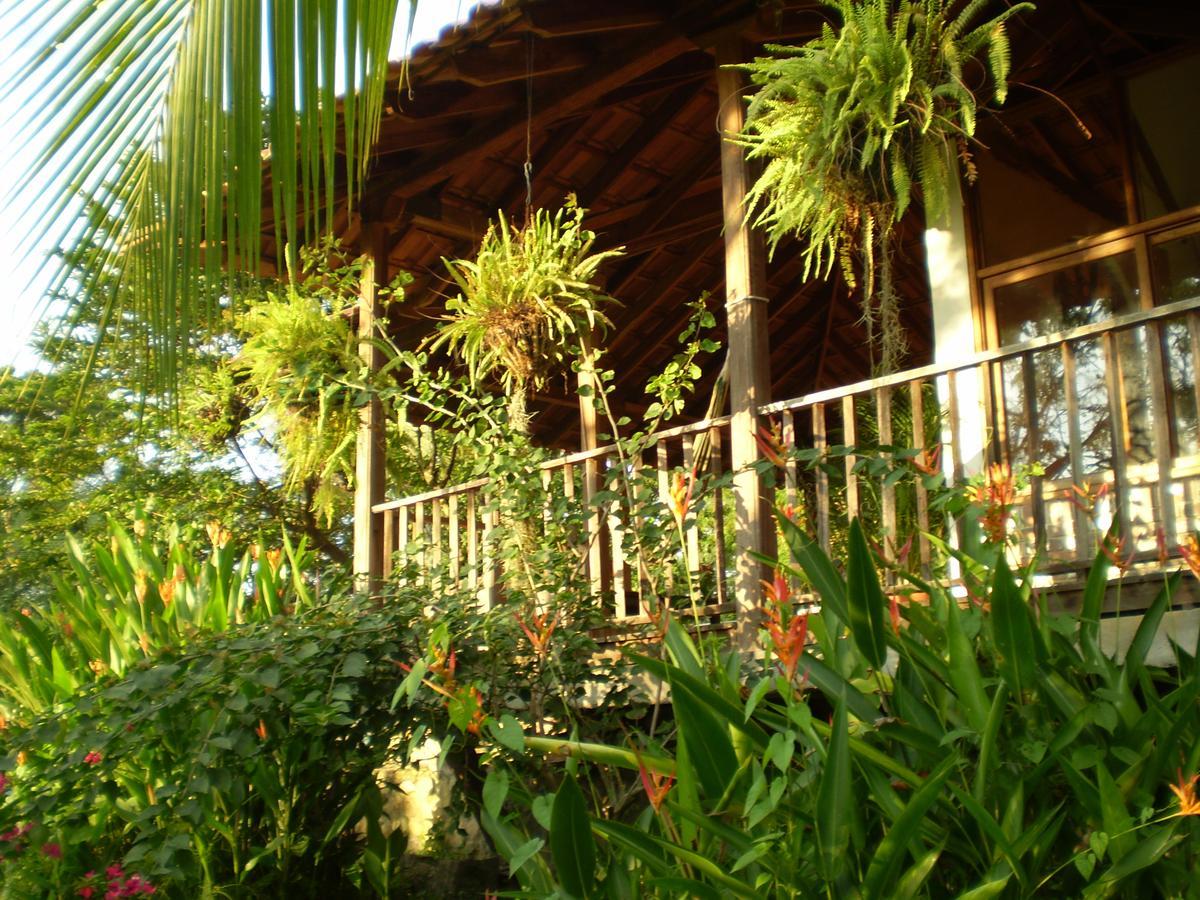 La Toscana Campestre Villa Viotá Exterior foto